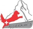 appalachians