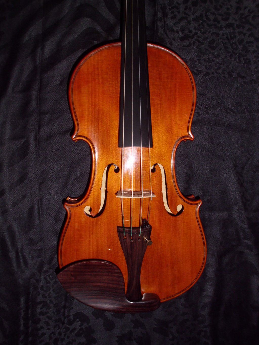 Atelierdelviolino