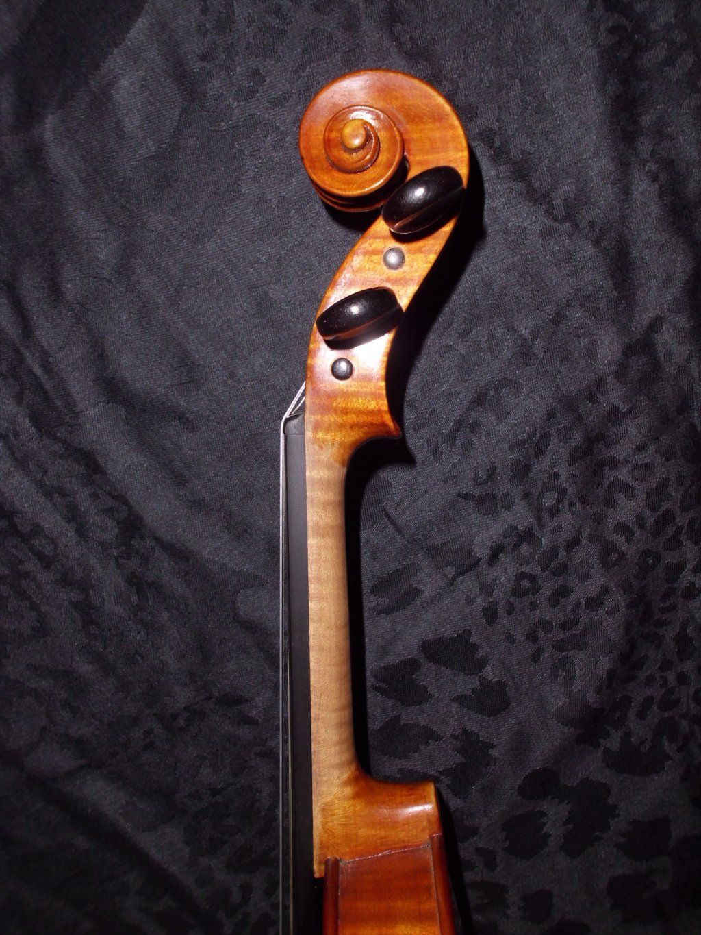 Atelierdelviolino