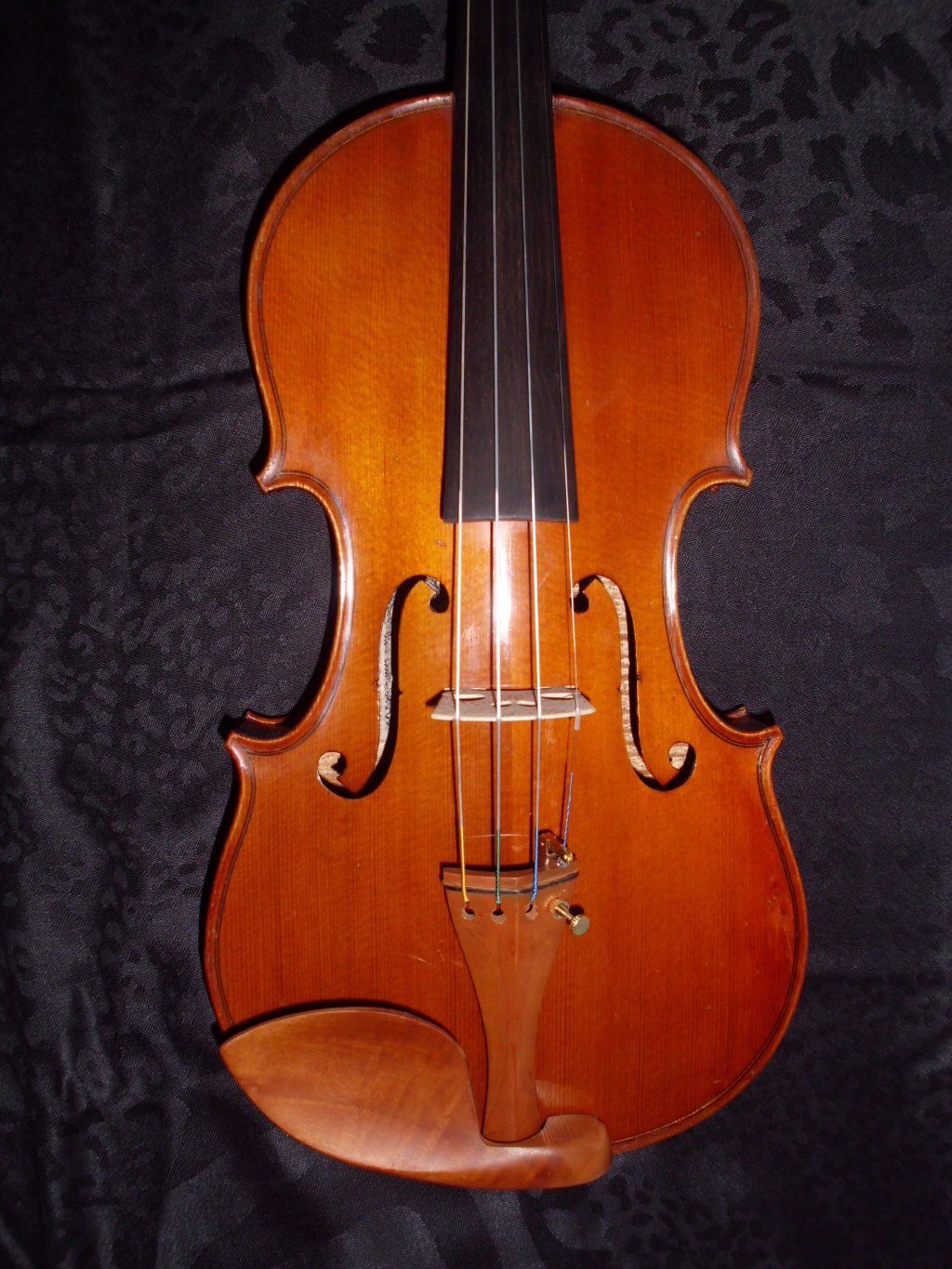 Atelierdelviolino