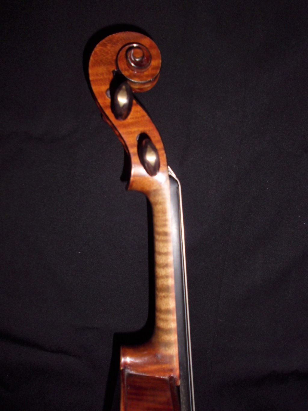 Atelierdelviolino