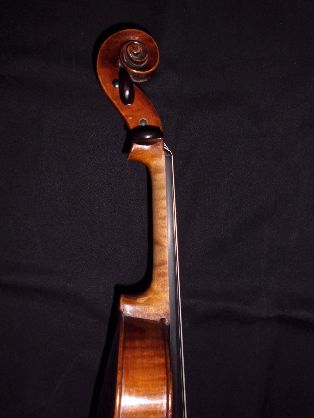 Atelierdelviolino