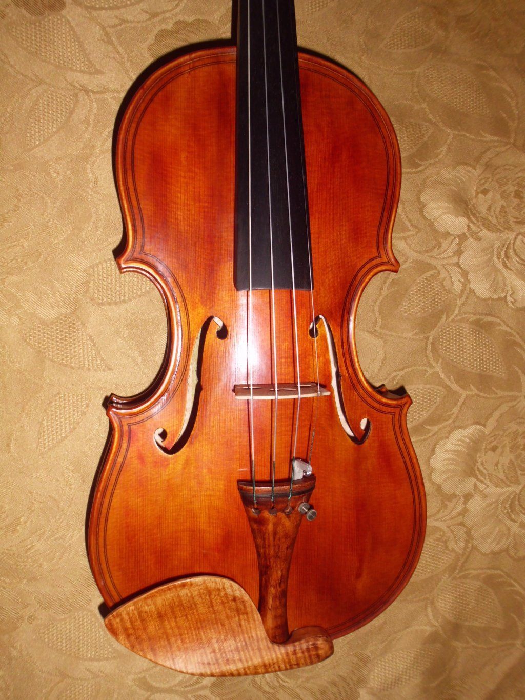 Atelierdelviolino