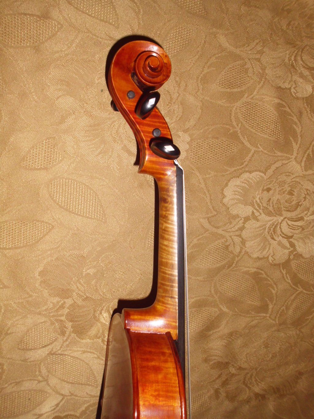 Atelierdelviolino