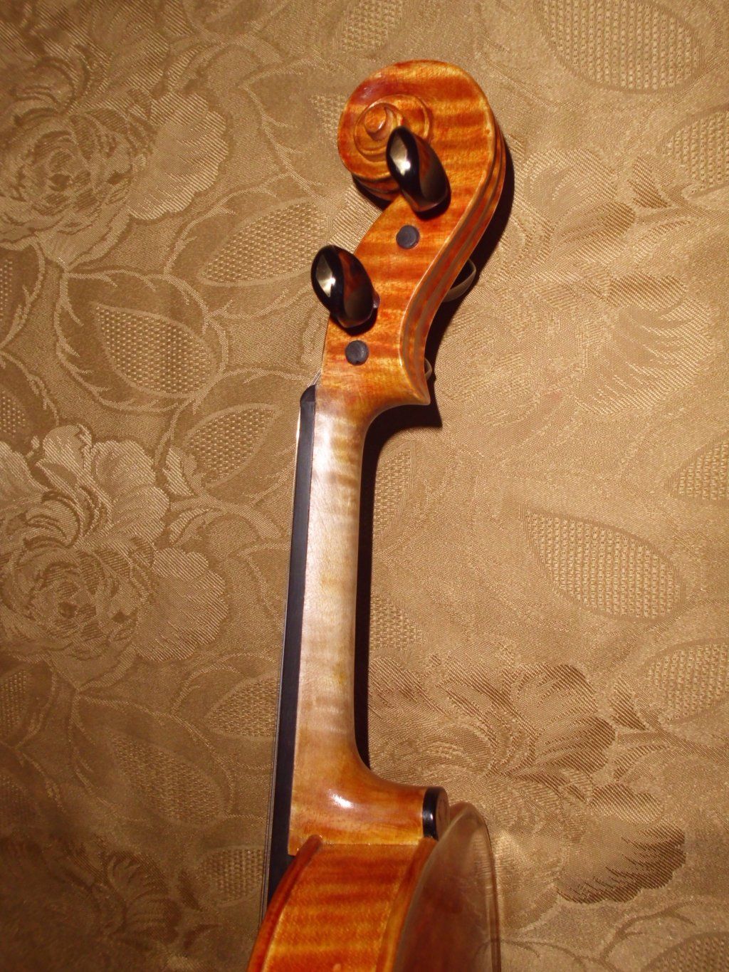 Atelierdelviolino