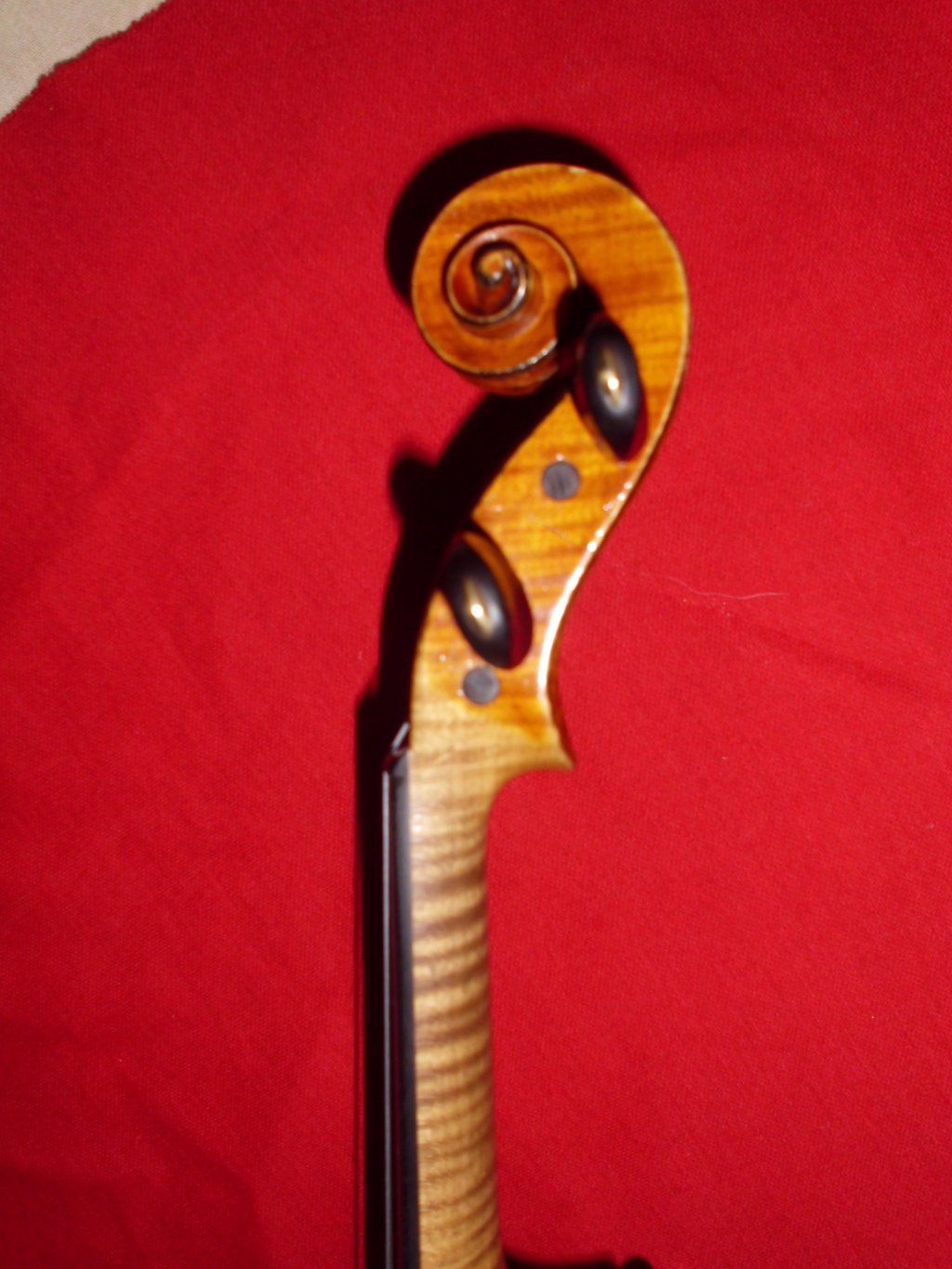 Atelierdelviolino