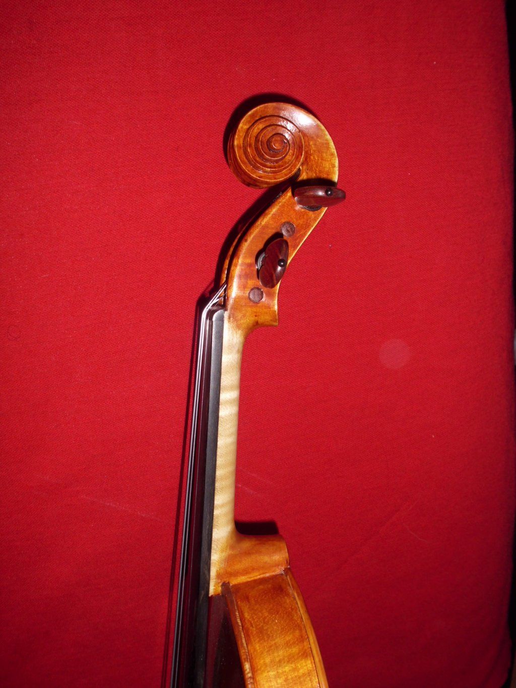 Atelierdelviolino
