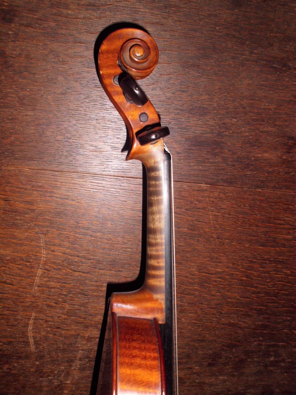 Atelierdelviolino