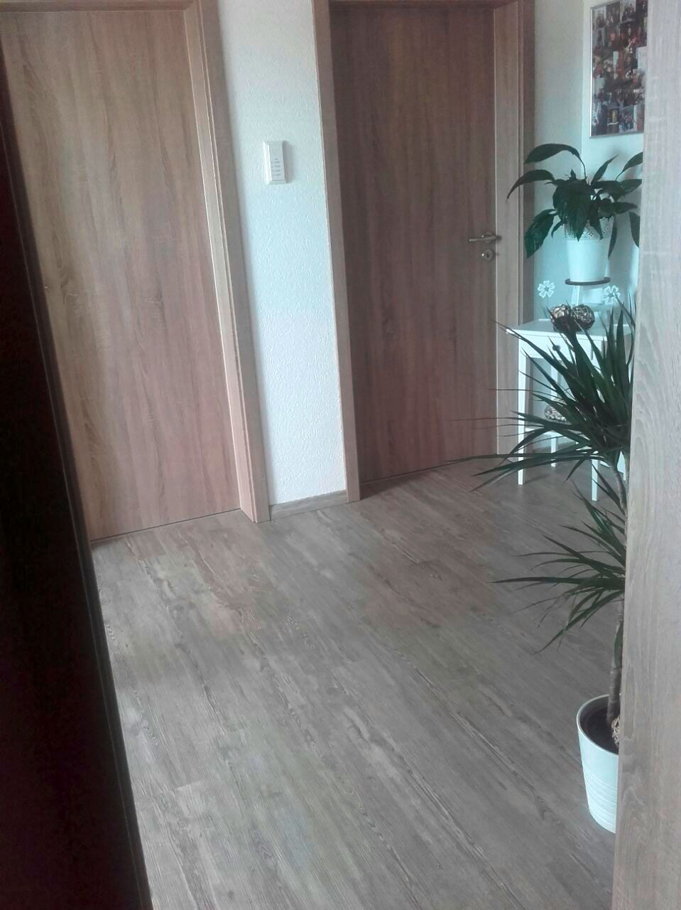 Flur mit zwei Holztüren, hellem Holzboden und Topfpflanzen.