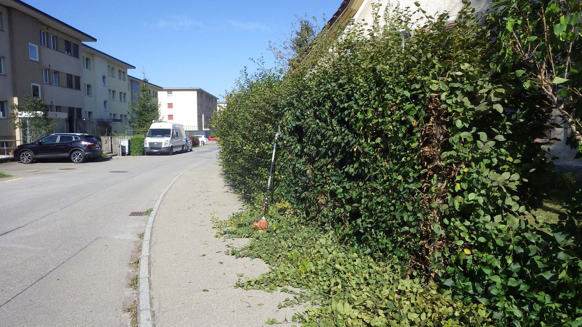 Hecken schneiden - Hugo Widmer Gartenbau/Gartenpflege - Goldingen