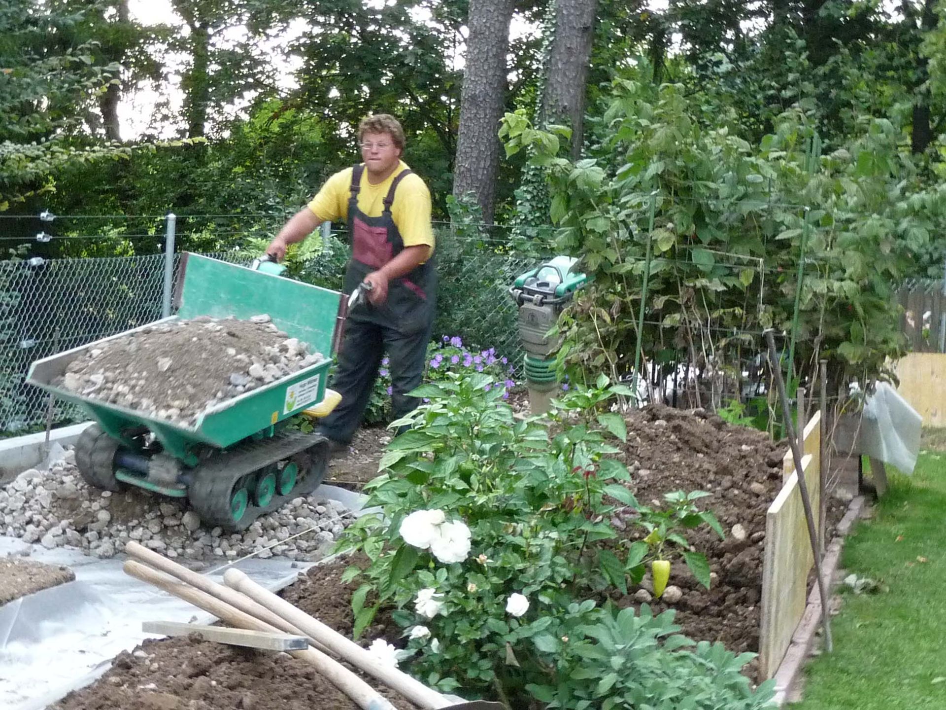Raupendumper (0.5 Tonnen Nutzlast) - Hugo Widmer Gartenbau/Gartenpflege - Goldingen