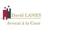 Maître David Lanes, avocat à Toulouse