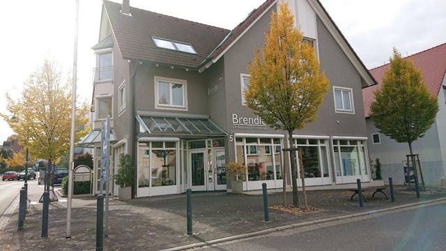 Ein zweistöckiges graues Gebäude mit großen Schaufenstern und Glasmarkisen, das hinter Bäumen mit gelbem Herbstlaub liegt.