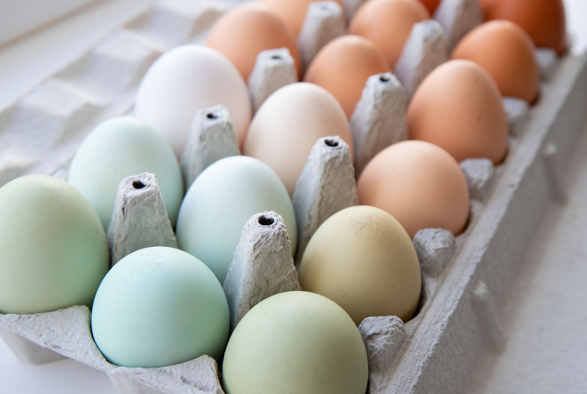 Des œufs de poule