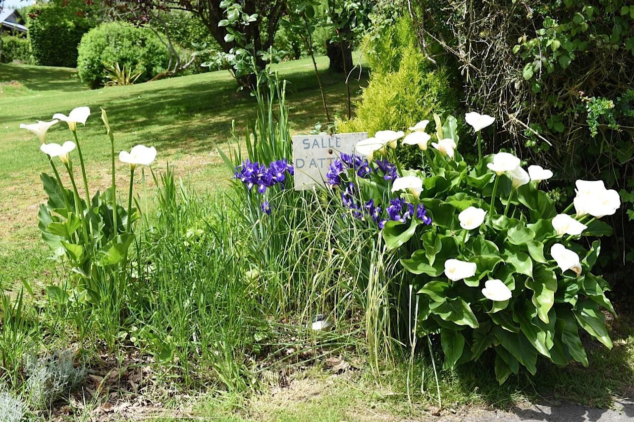 Un jardin avec des fleurs de différentes couleurs