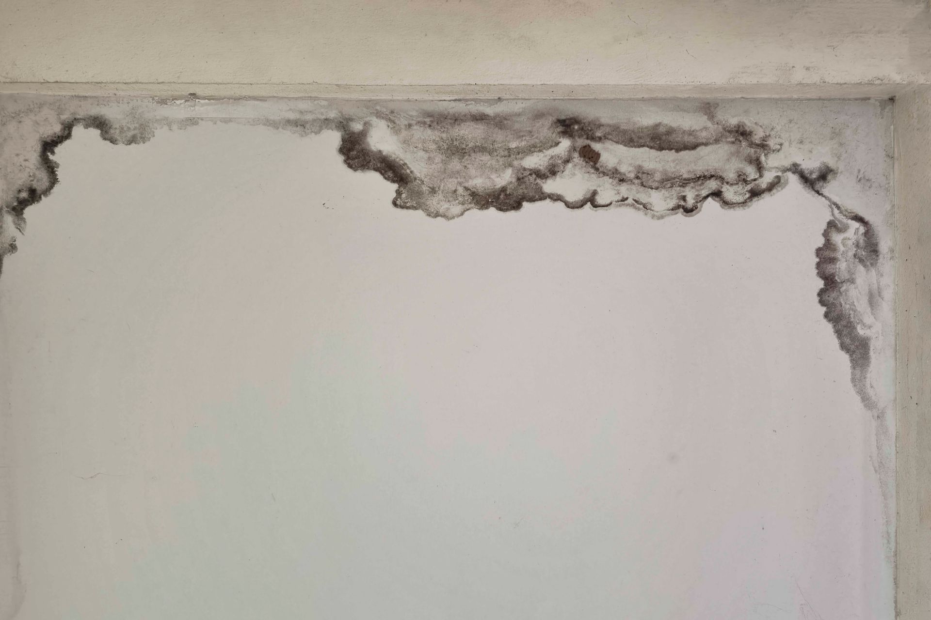 Eine Ecke der Decke ist von Wasserflecken überzogen, mit dunklen, schimmelartigen Verfärbungen und abblätternder Farbe.