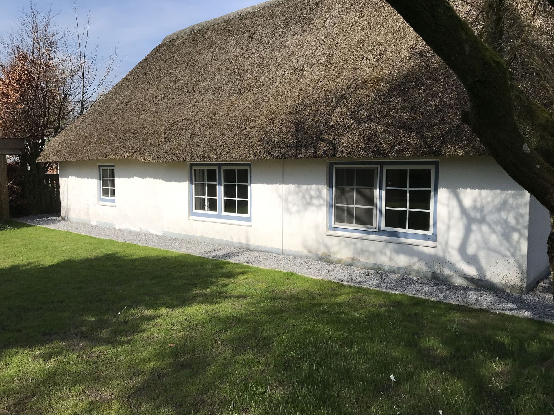 Weißes Häuschen mit Reetdach und großen Fenstern neben einem grasbewachsenen Hof