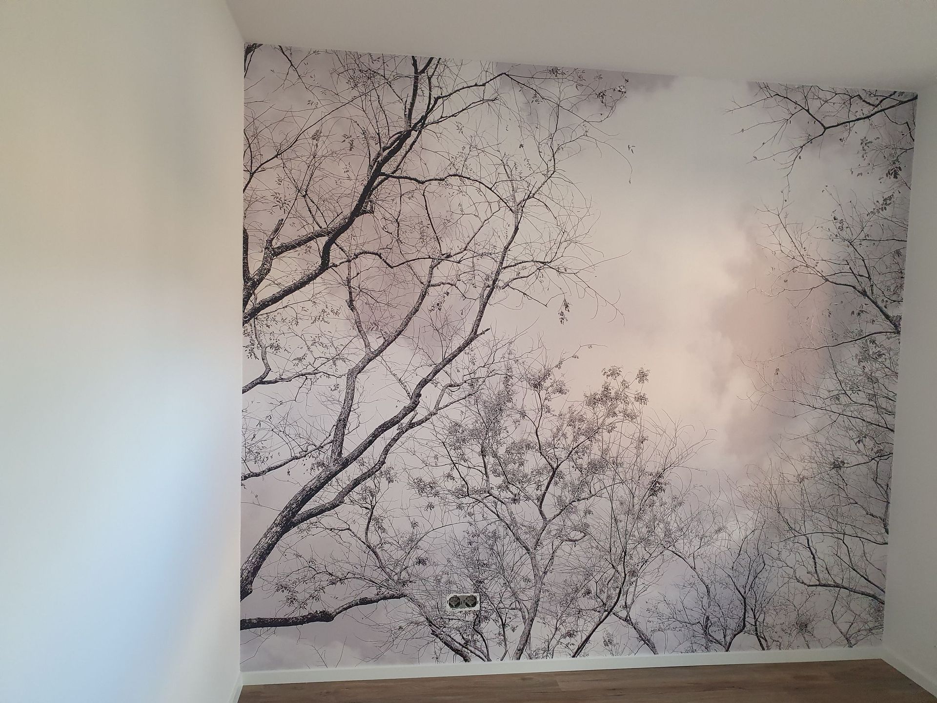 Gerahmtes Wandbild mit kahlen Baumzweigen vor hellgrauem Himmel in einem minimalistischen Raum