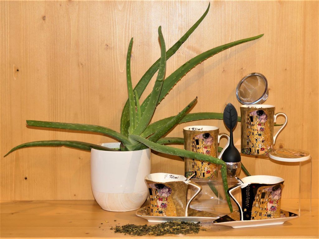 Produits de l'herberie Cousin Wiame 14