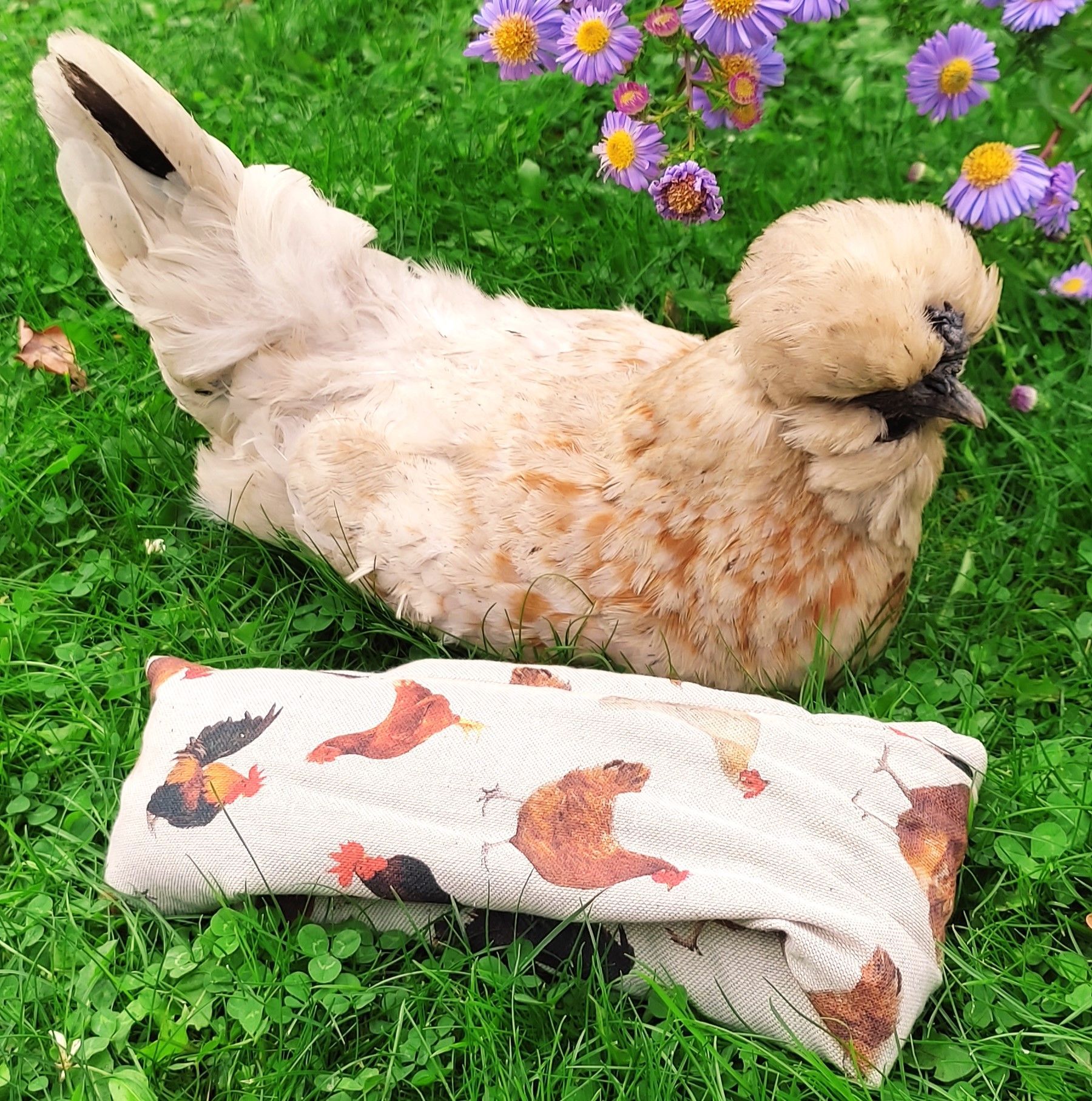 bouillottes artisanale naturelle