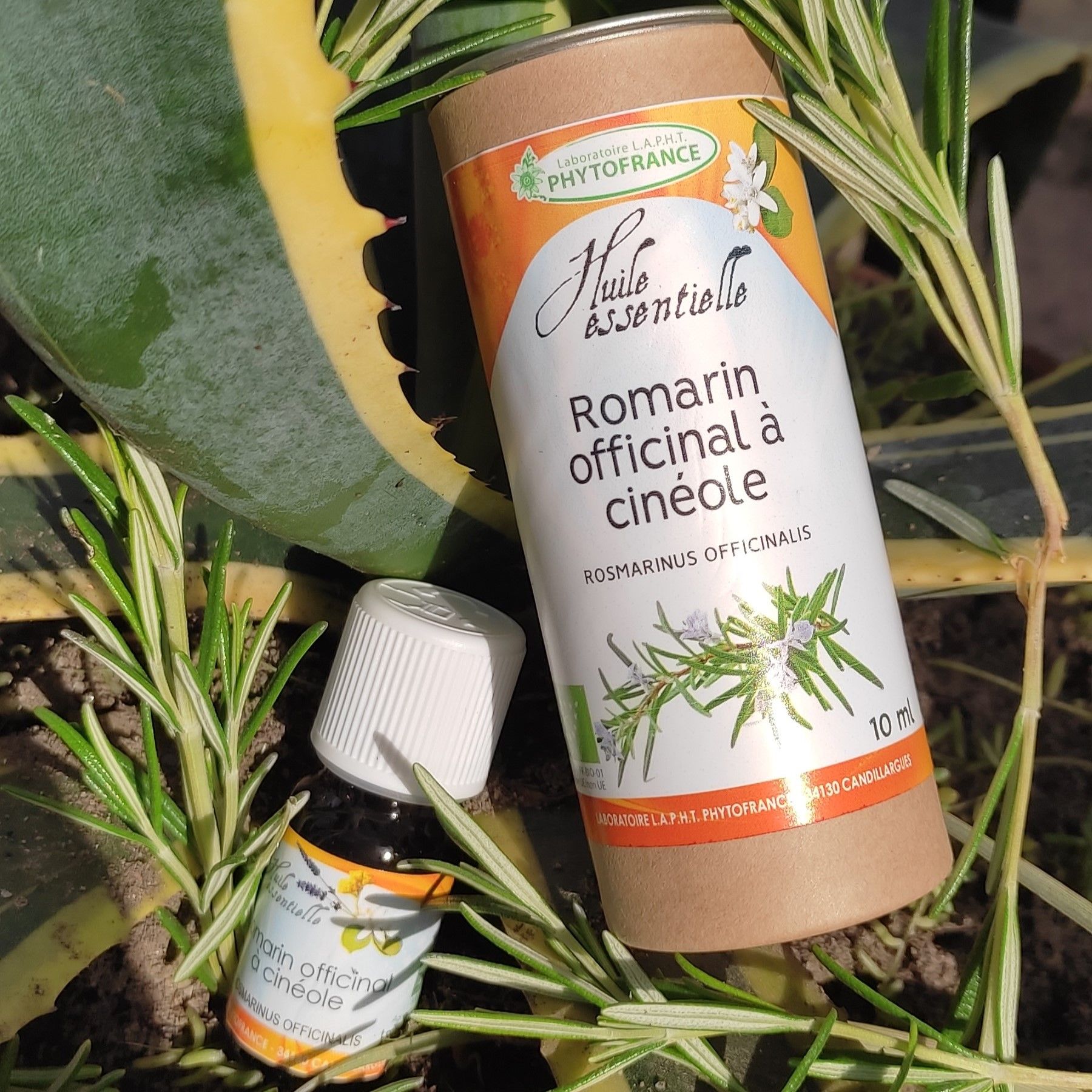 romarin cinéole huile essentielle
