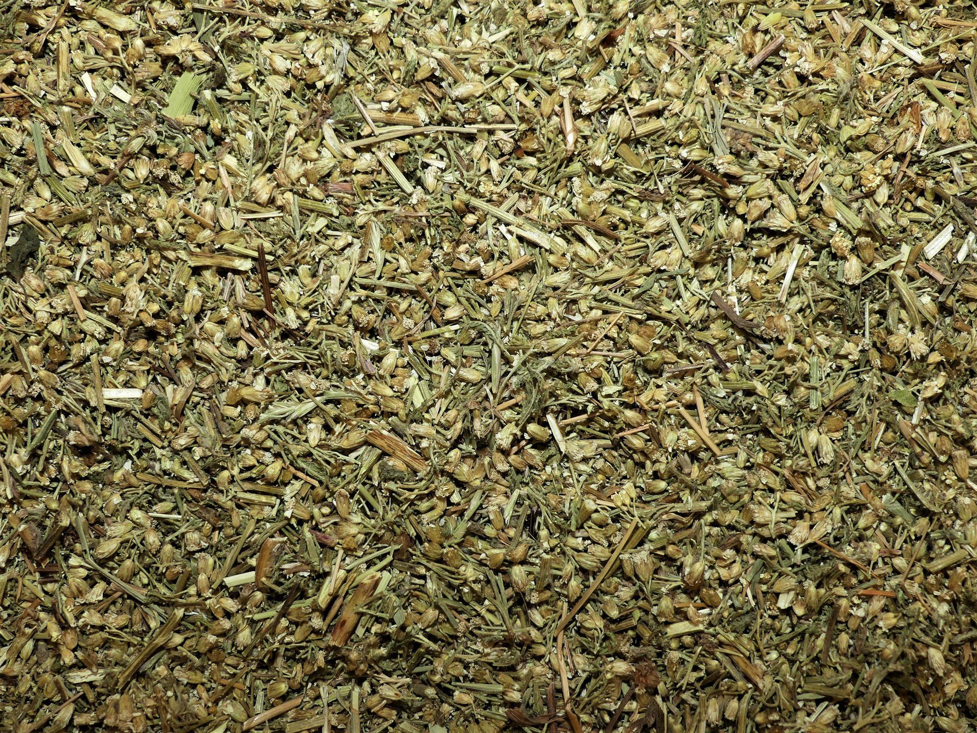 Gros plan sur un mélange de feuilles et de tiges herbacées séchées, vert-brun.