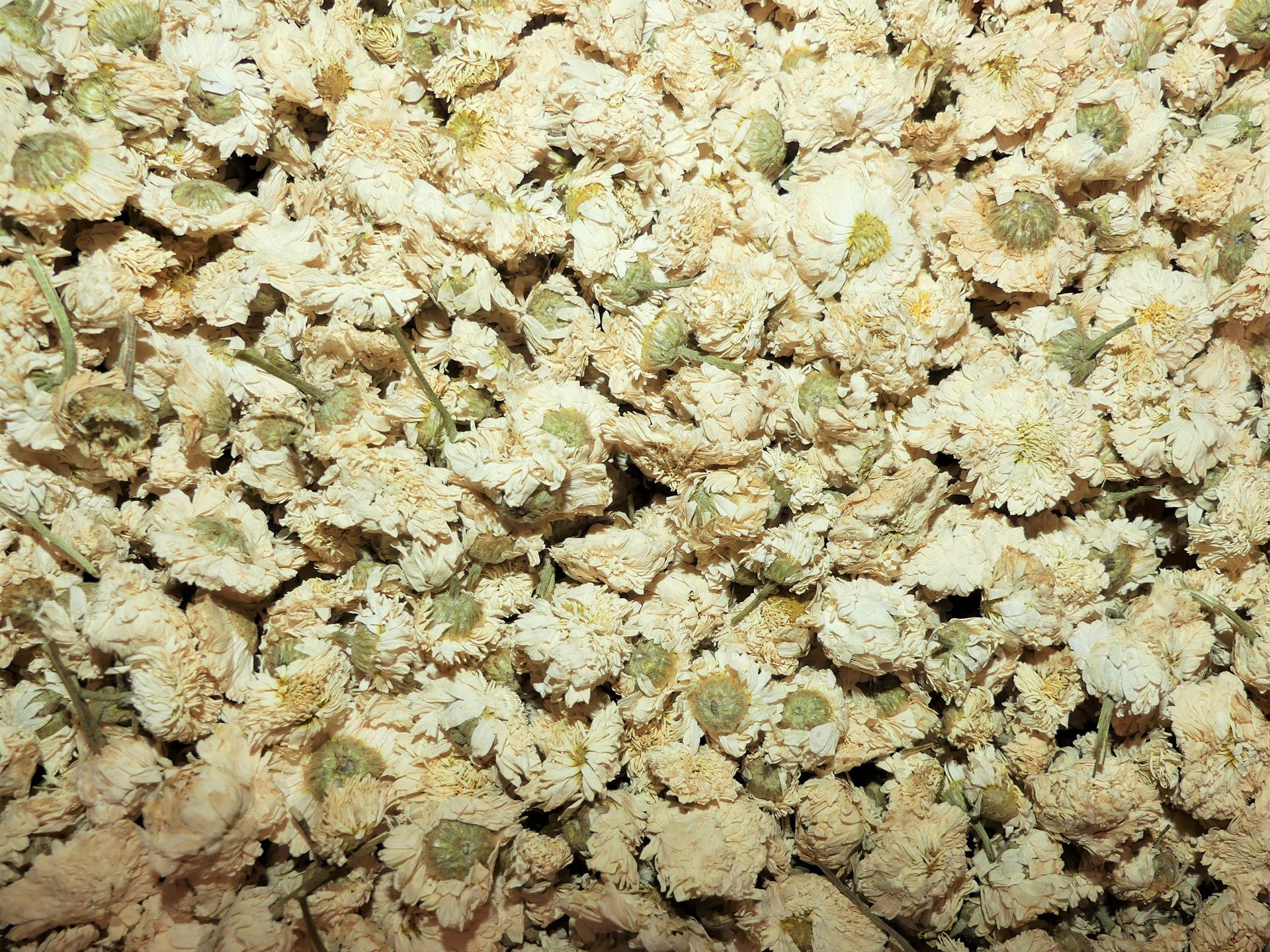 Gros plan sur du pop-corn nature, remplissant le cadre d'une couleur beige clair.