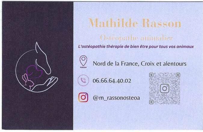 Carte de visite de « Nobile Bassa », avec logo de chat, adresse en France, numéro de téléphone, Instagram et code QR