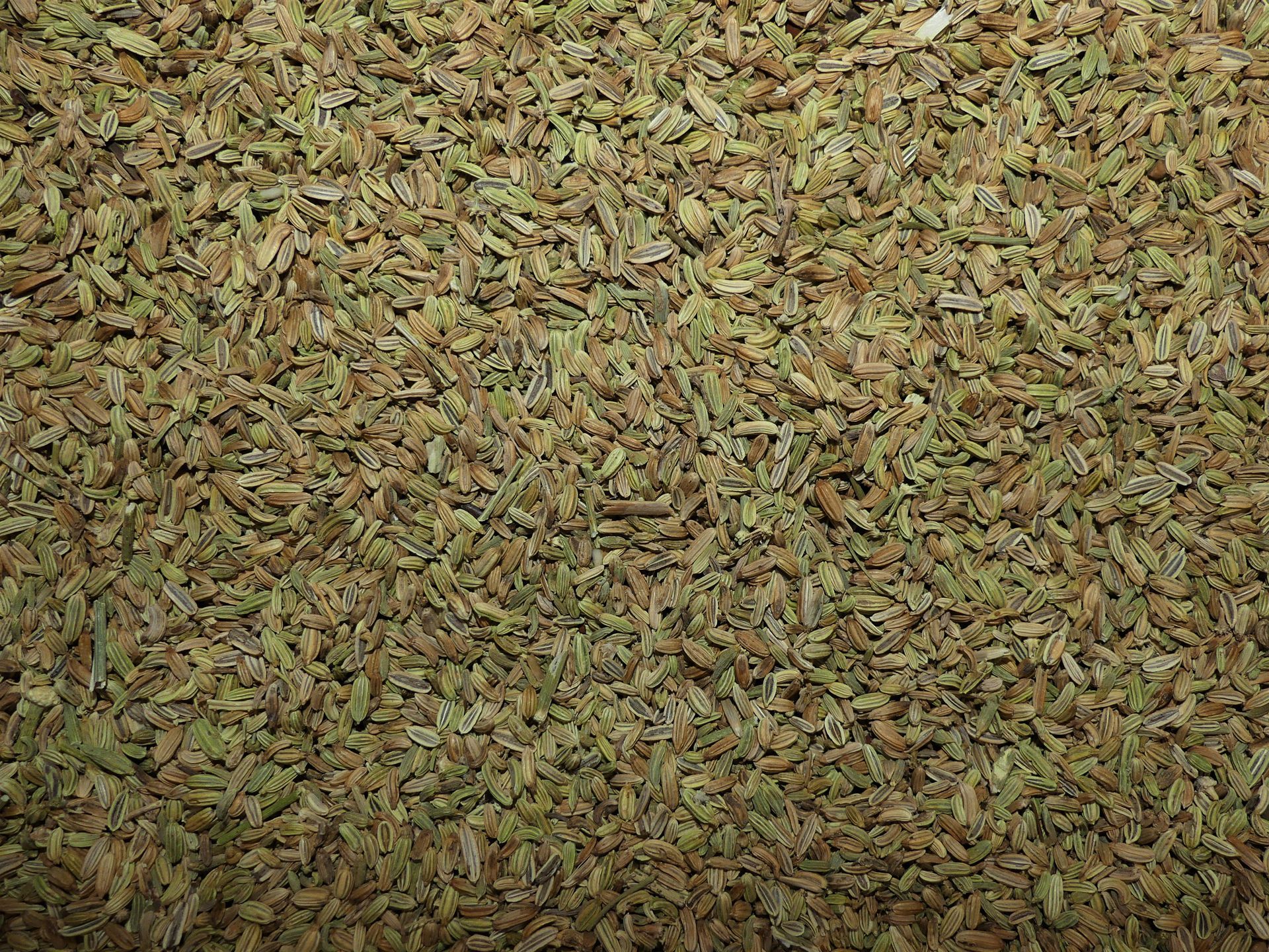 Gros plan sur des feuilles ou des herbes séchées vert-brun qui remplissent le cadre