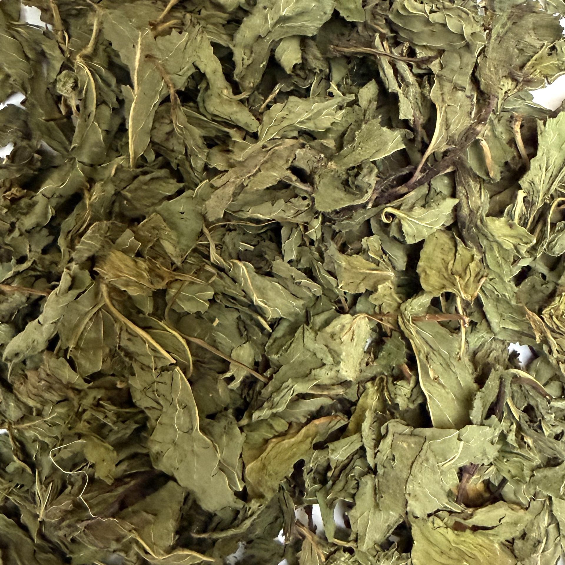 Gros plan sur des feuilles vertes séchées, remplissant le cadre d'une surface végétale texturée.