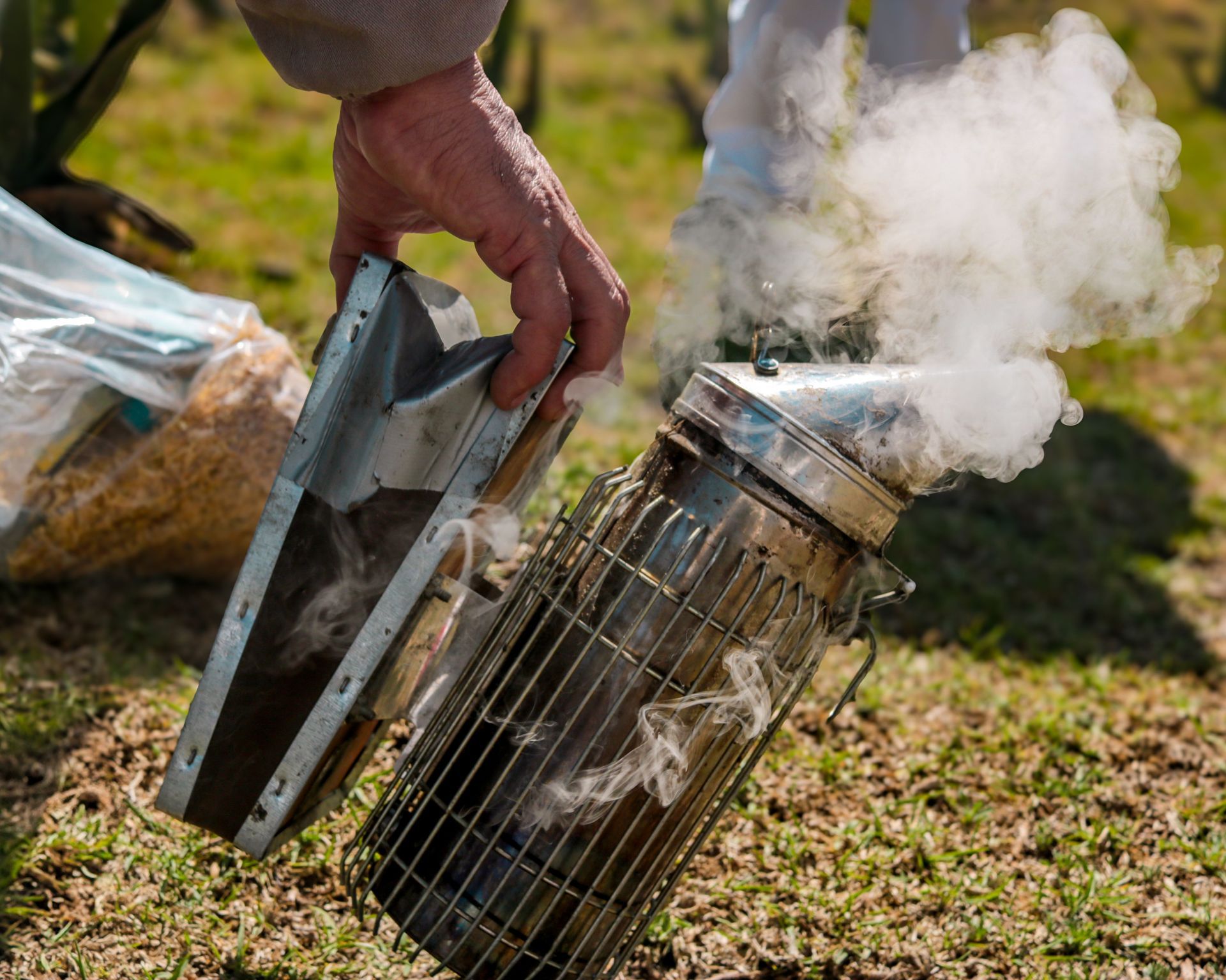 Soulever à la main un enfumoir à ruche fumant et son couvercle métallique sur l'herbe à l'extérieur