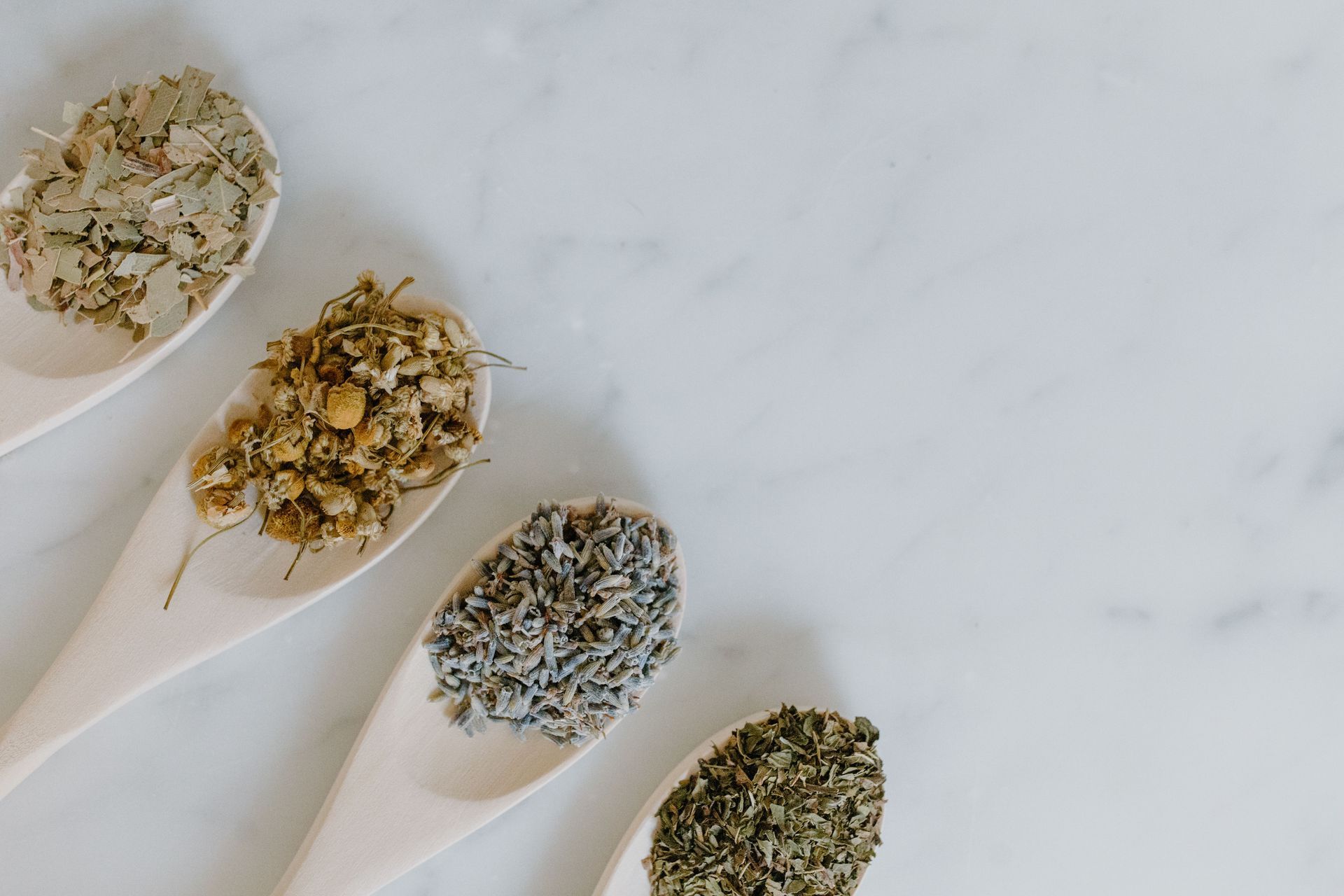Cuillères en bois remplies de différentes plantes séchées pour infusion