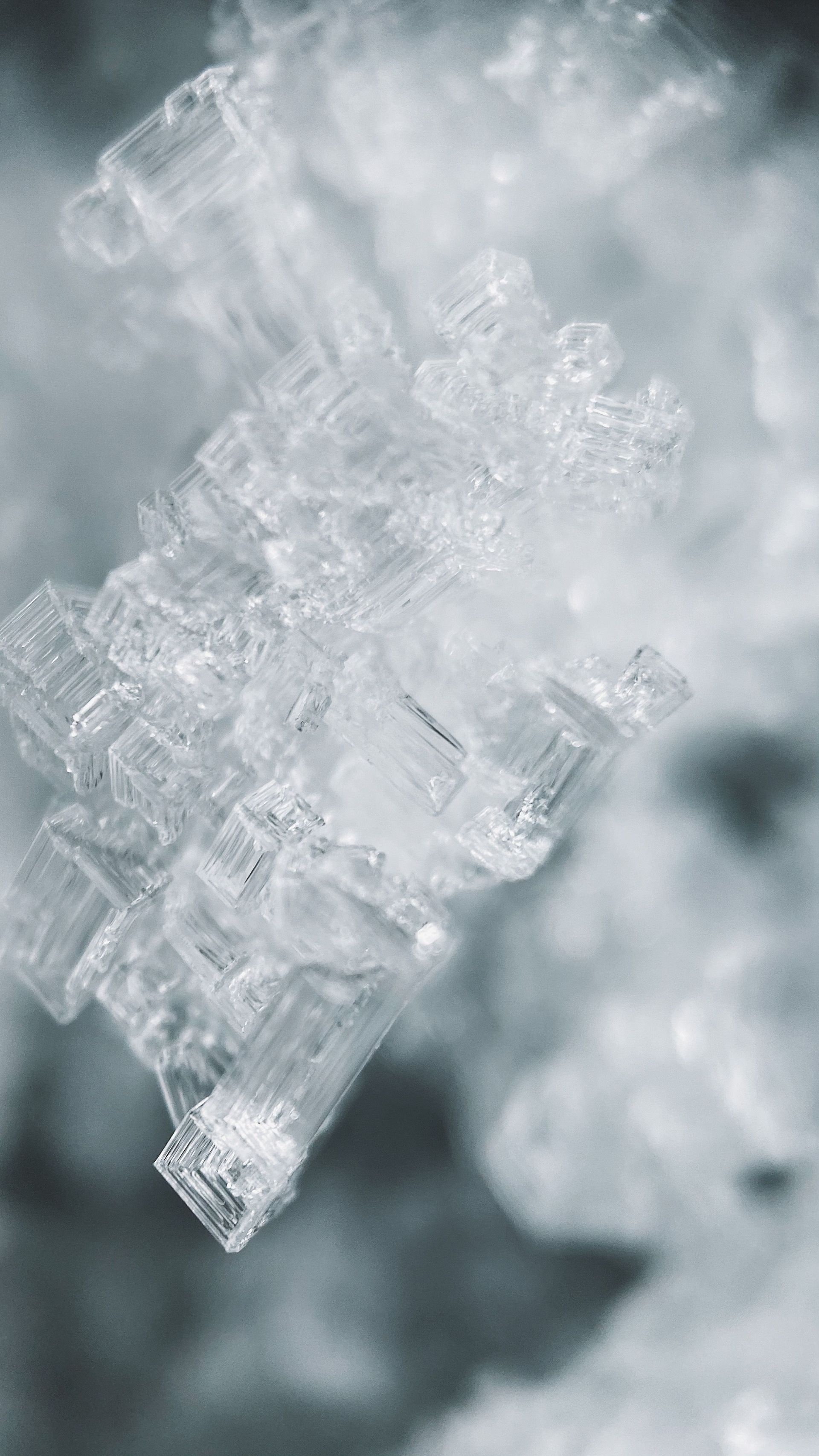 Gros plan d'un cristal de glace translucide aux motifs géométriques complexes sur un fond gris flou.
