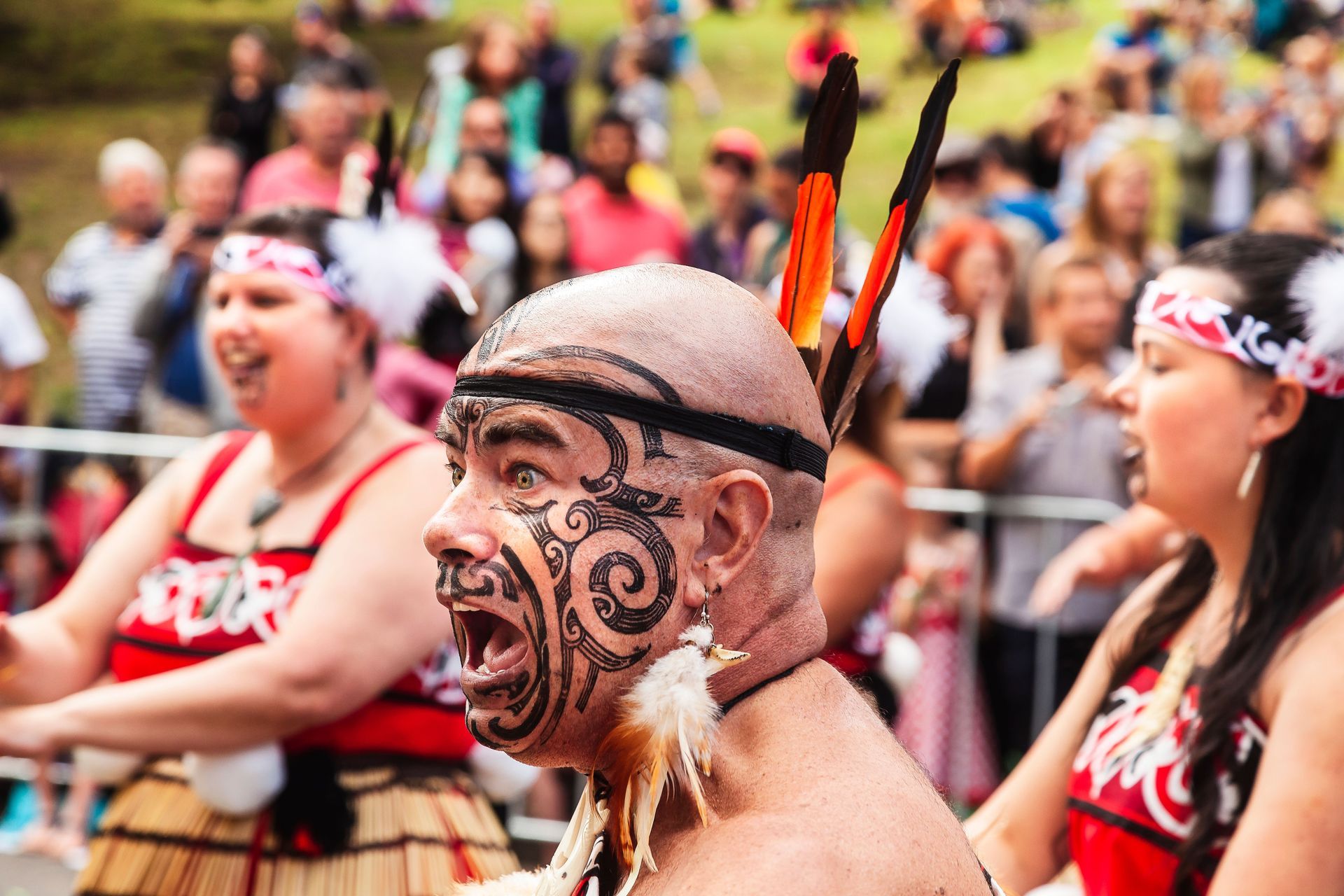 Des artistes maoris en tenue traditionnelle, le visage peint et coiffés de plumes, lors d'une célébration culturelle