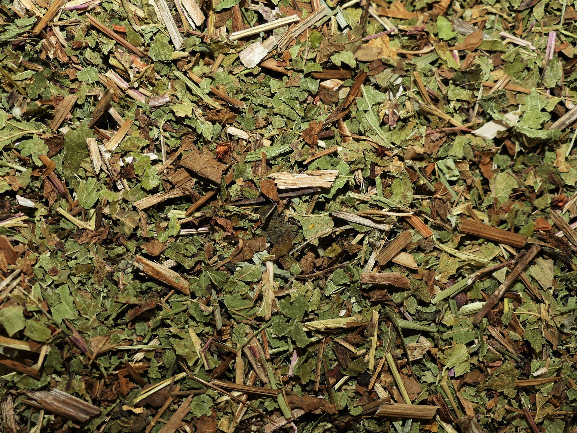 Gros plan sur des feuilles séchées et des fragments de plantes vertes éparpillés sur le sol