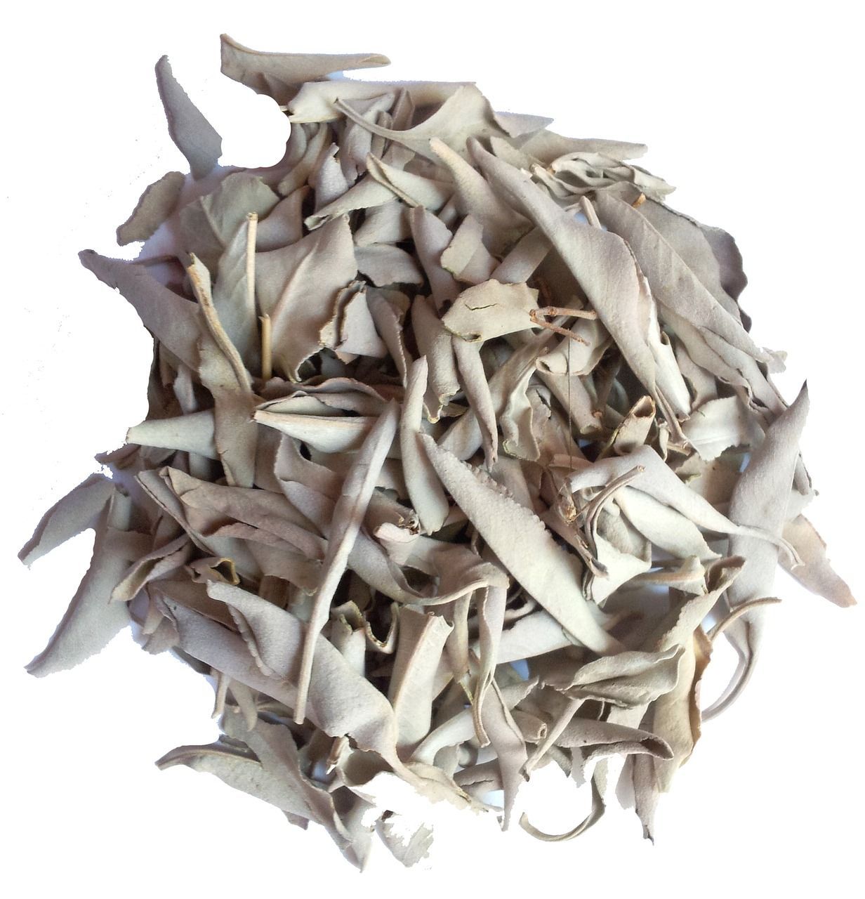 sauge blanche naturelle