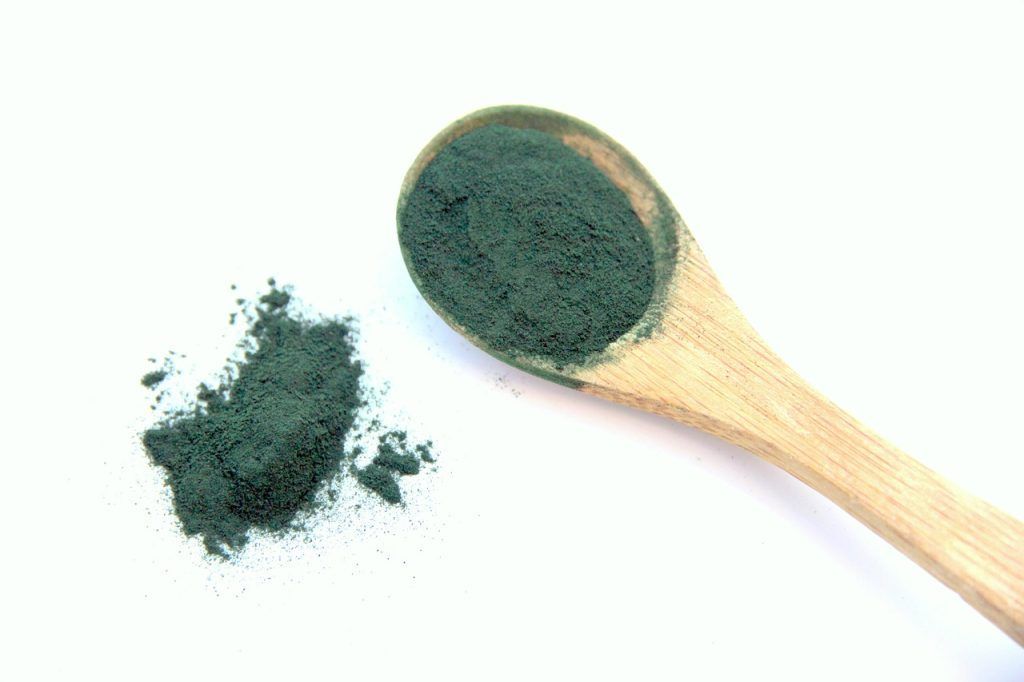 Cuillère de spiruline en poudre