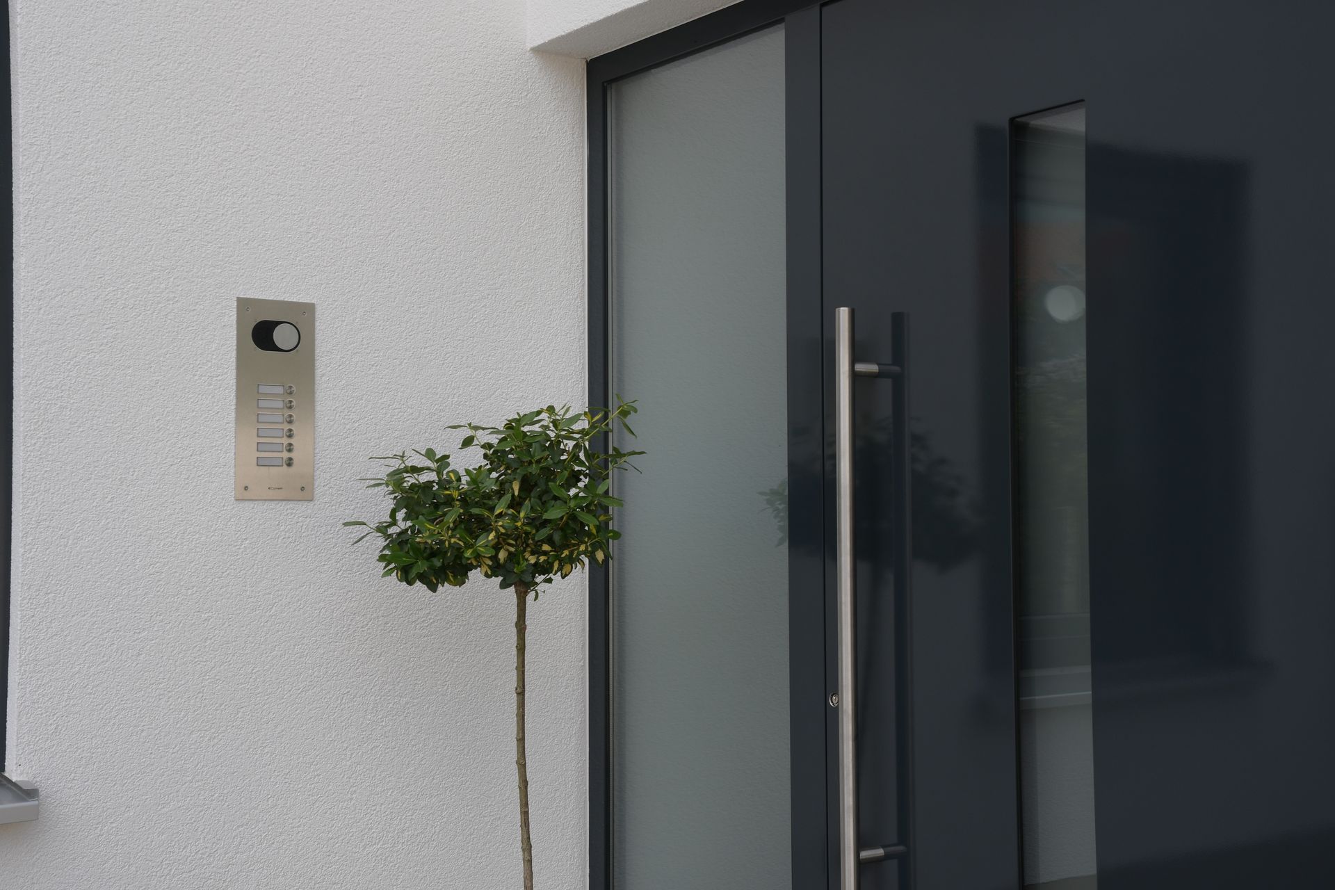 Eine schwarze Tür mit einem kleinen Baum davor.