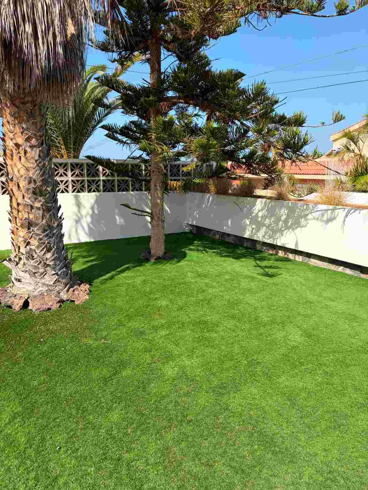 Un patio trasero soleado con césped verde, una palmera y una pared blanca bajo un cielo azul despejado.