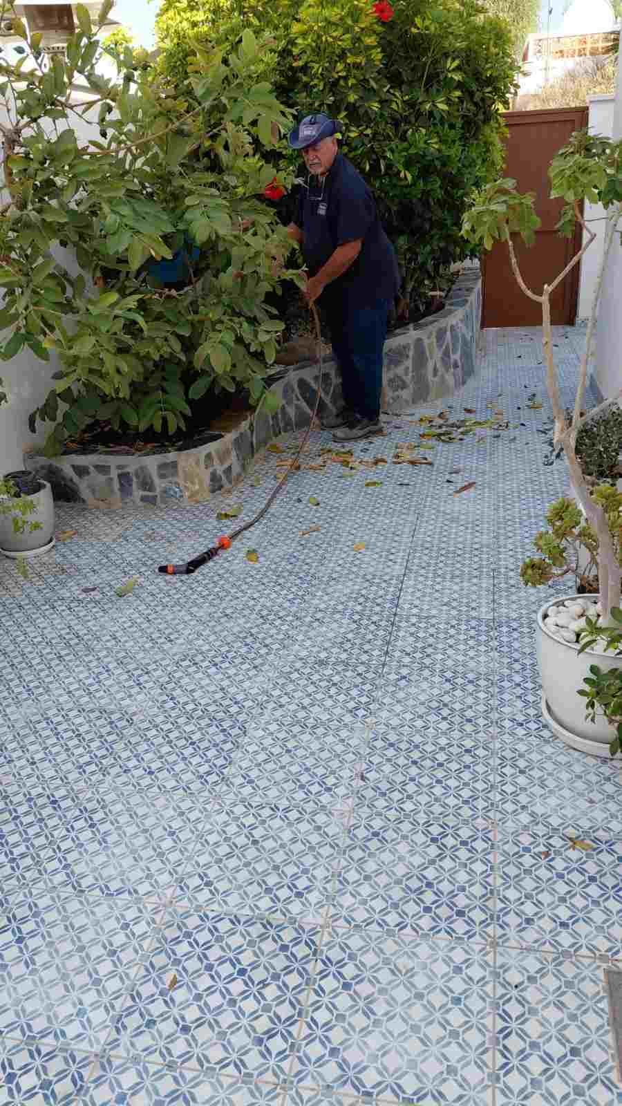 Una persona poda un frondoso arbusto de jardín en un patio con baldosas azules y plantas en macetas.