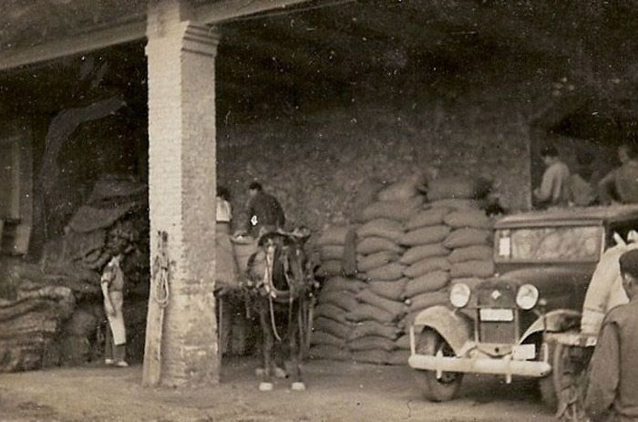 Una fotografía en blanco y negro de un caballo tirando de un coche.