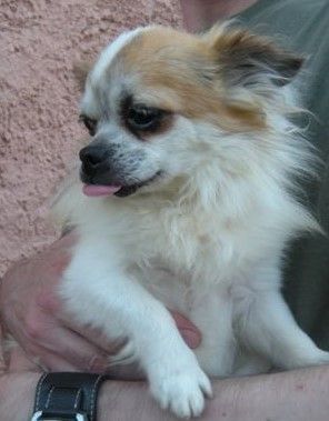 Katharina Jungen Ryter