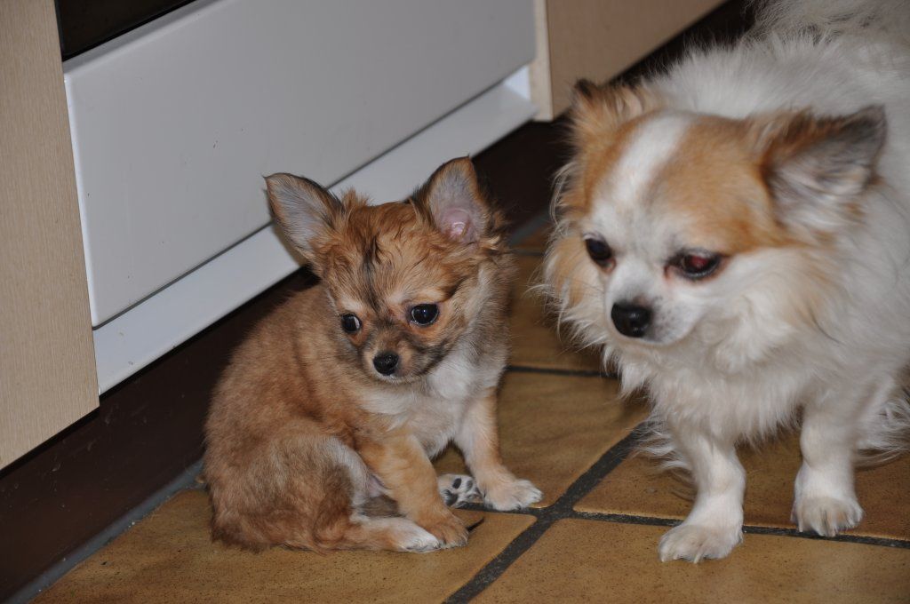 Katharina Jungen Ryter