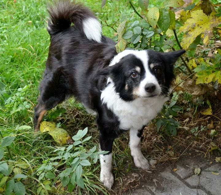 Katharina Jungen Ryter