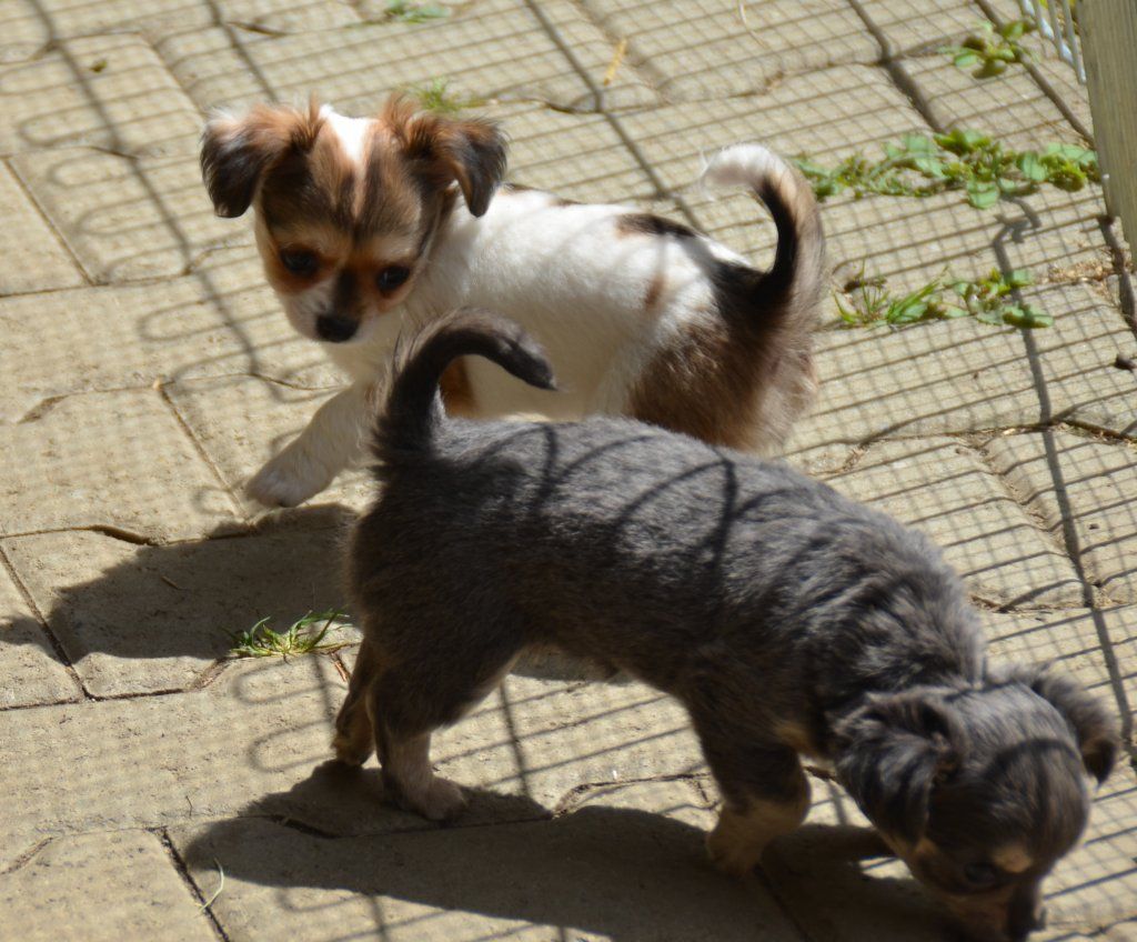 Katharina Jungen Ryter