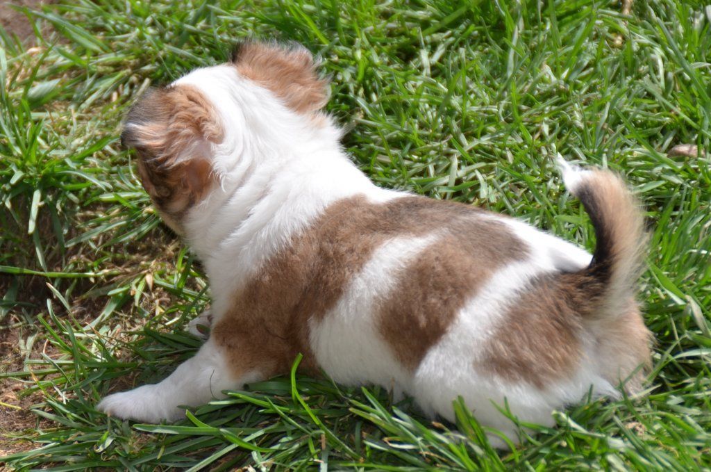 Katharina Jungen Ryter