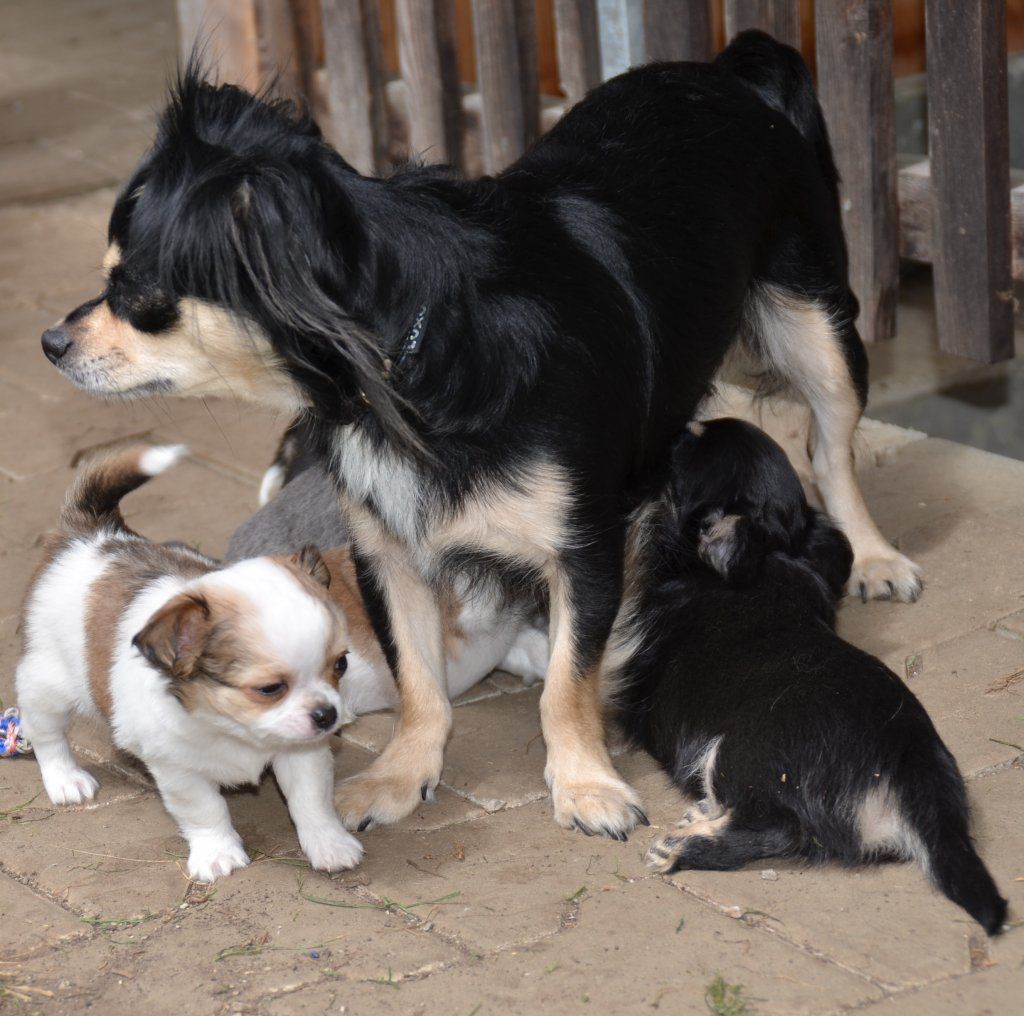 Katharina Jungen Ryter