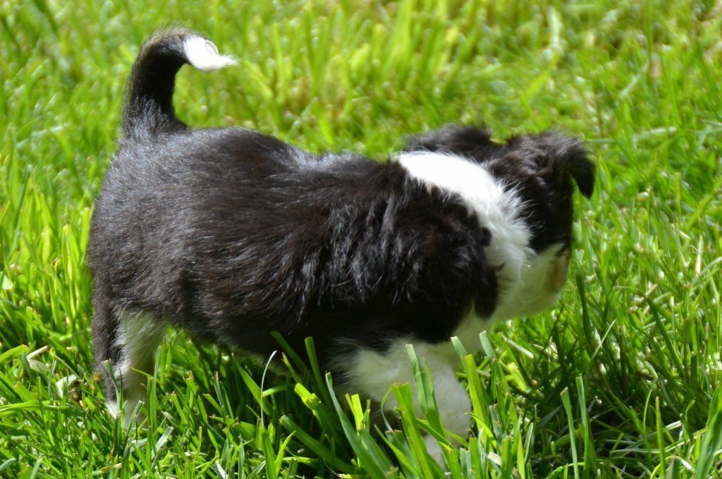 Katharina Jungen Ryter