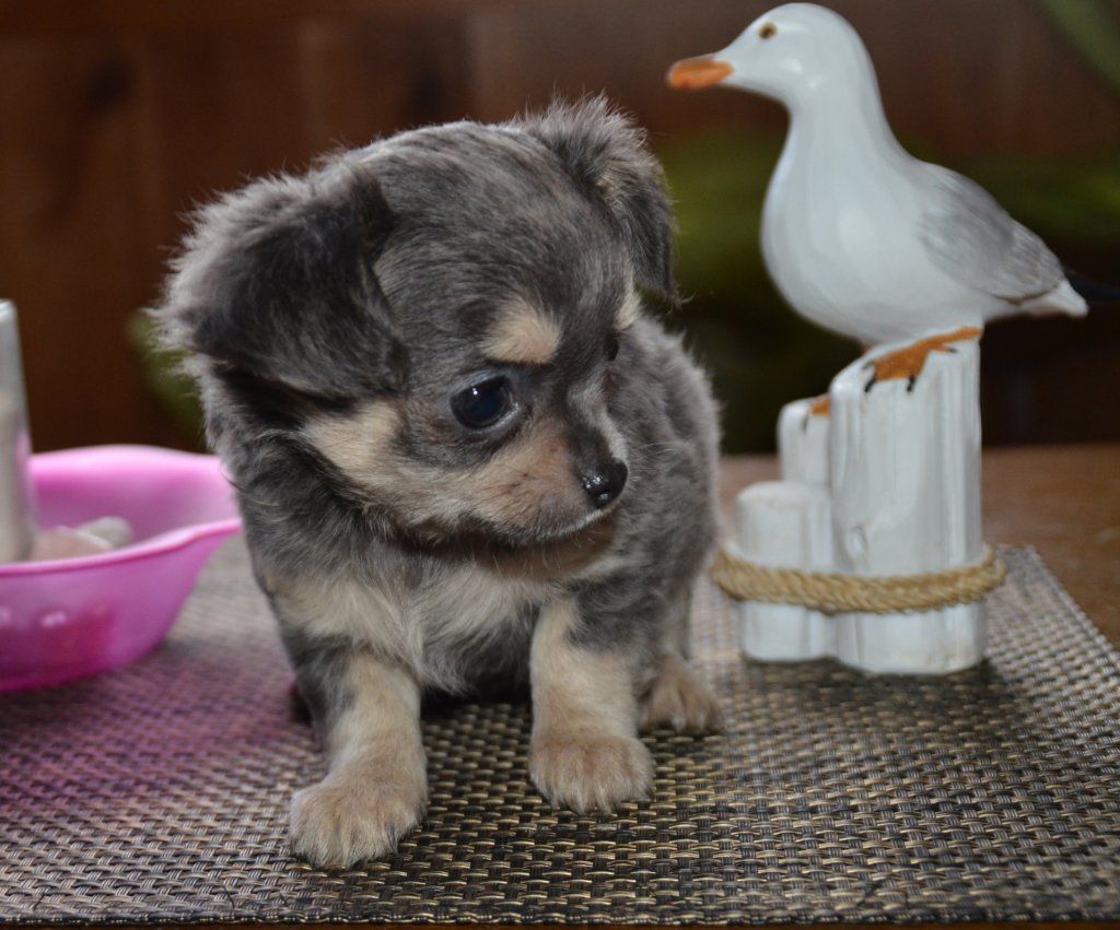 Katharina Jungen Ryter