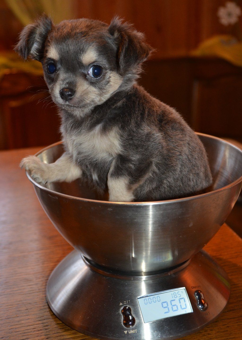 Katharina Jungen Ryter